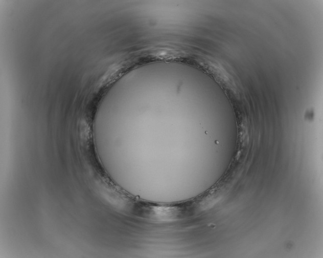 X0000091590371200709101045