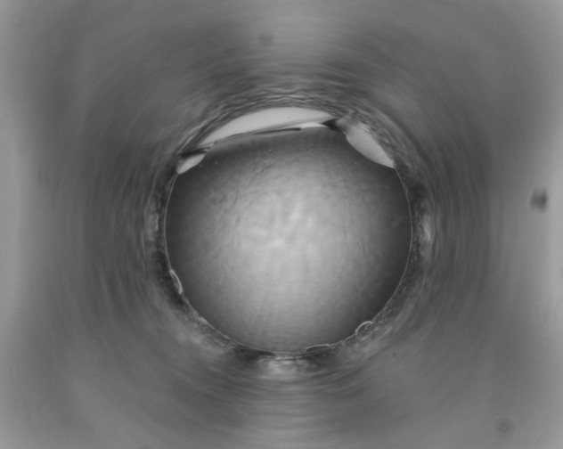 X0000091590372200709101045