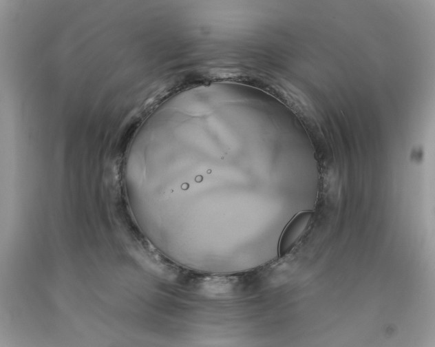 X0000091590373200709101045