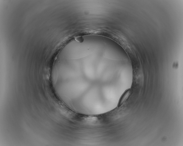 X0000091590374200709101045