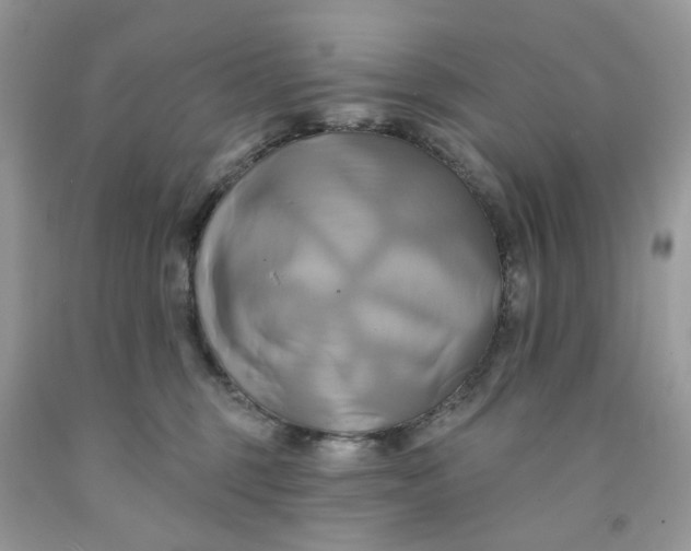 X0000091590375200709101045