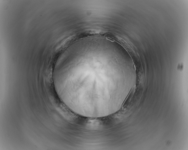 X0000091590376200709101045