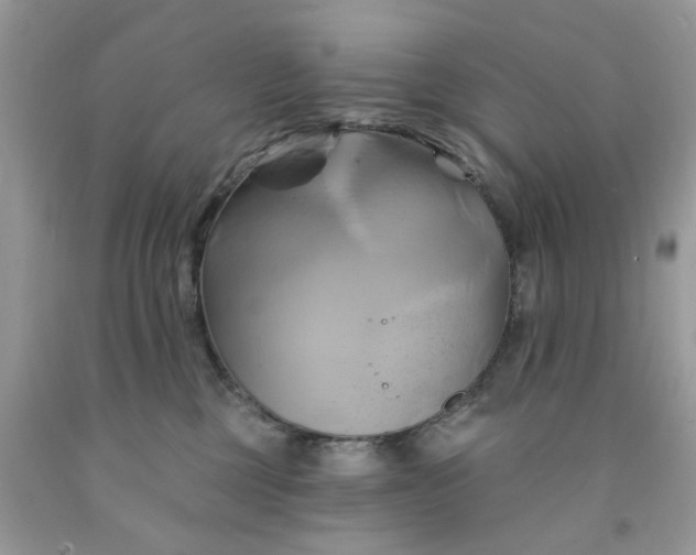 X0000091590377200709101045