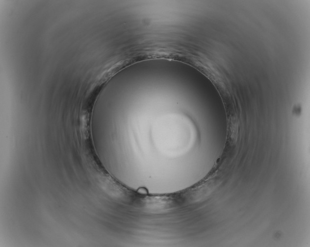 X0000091590378200709101045