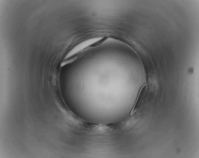 X0000091590379200709101045