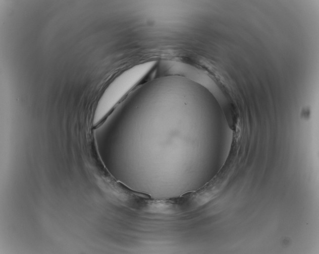 X0000091590380200709101045