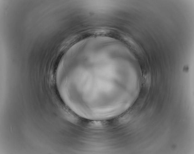 X0000091590381200709101045