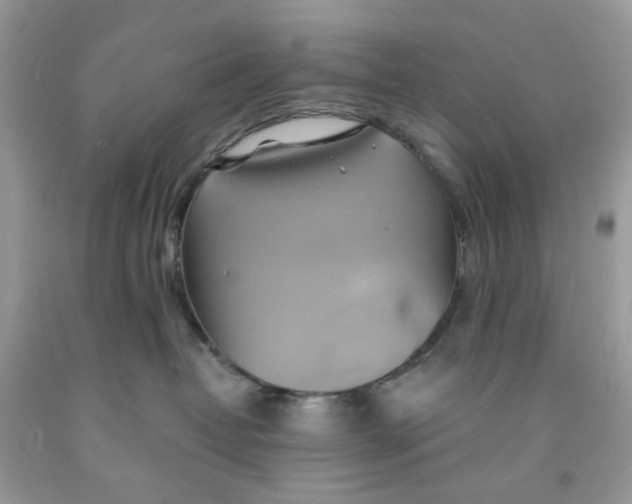 X0000091590382200709101045