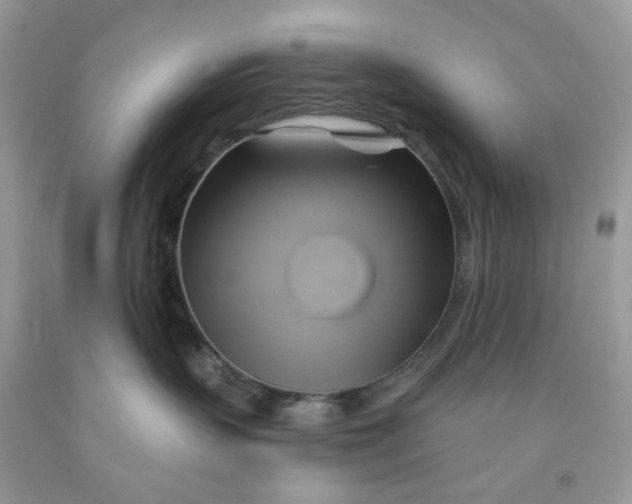 X0000091590383200709101045