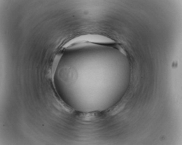 X0000091590384200709101045