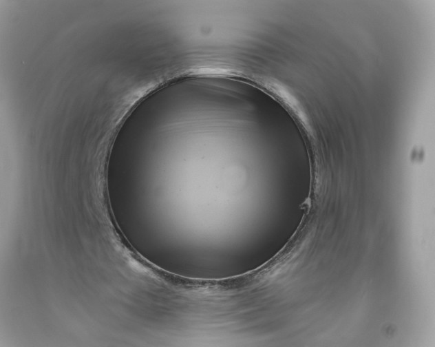 X0000091590385200709101045