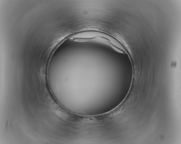 X0000091590386200709101045