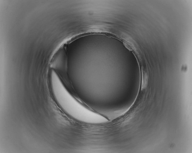 X0000091590387200709101045