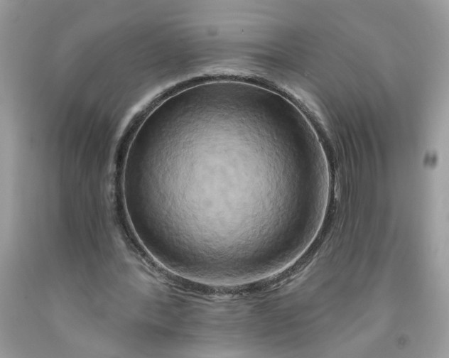 X0000091590388200709101045