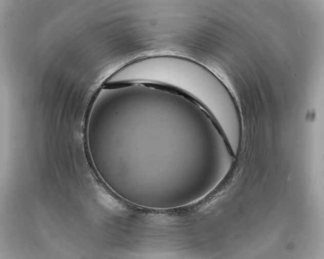 X0000091590389200709101045