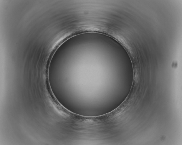 X0000091590390200709101045