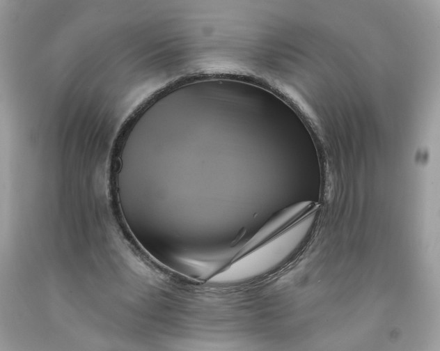 X0000091590391200709101045