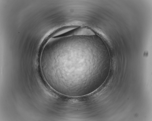 X0000091590392200709101044