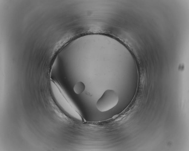 X0000091590393200709101044