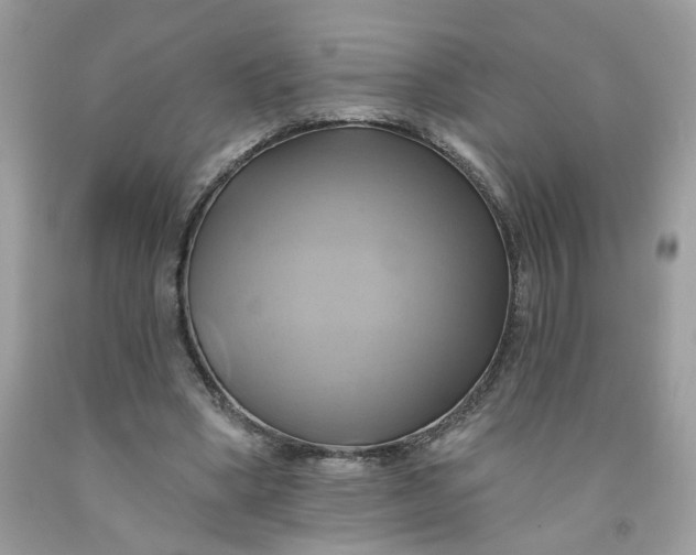 X0000091590394200709101044