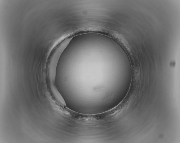 X0000091590395200709101044