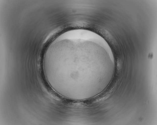 X0000091590396200709101044