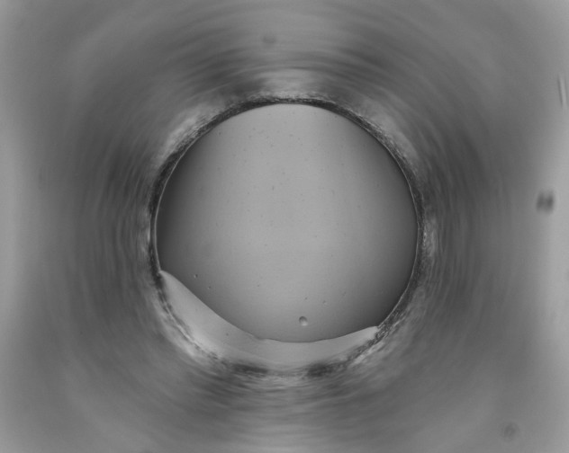 X0000091590397200709101044