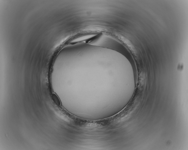 X0000091590399200709101044