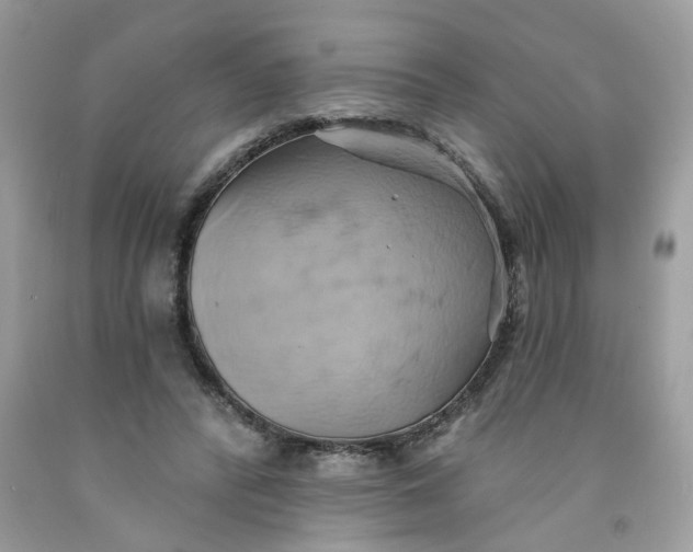 X0000091590400200709101044