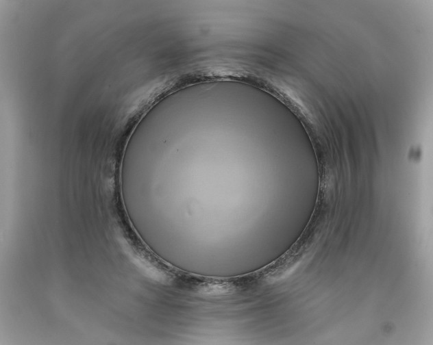 X0000091590402200709101044