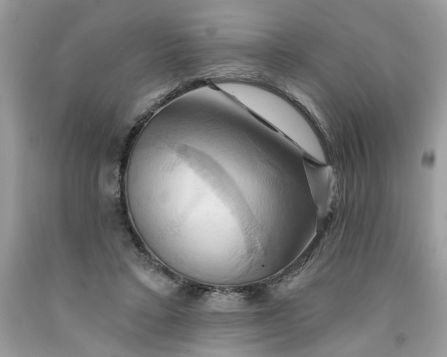 X0000091590403200709101044