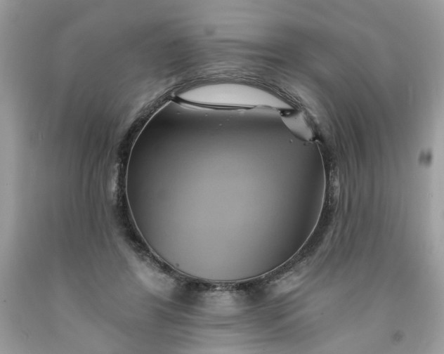 X0000091590404200709101044