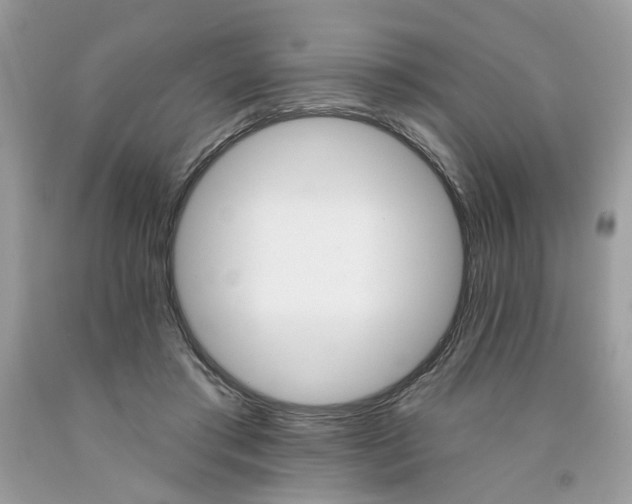 X0000091590405200709101044