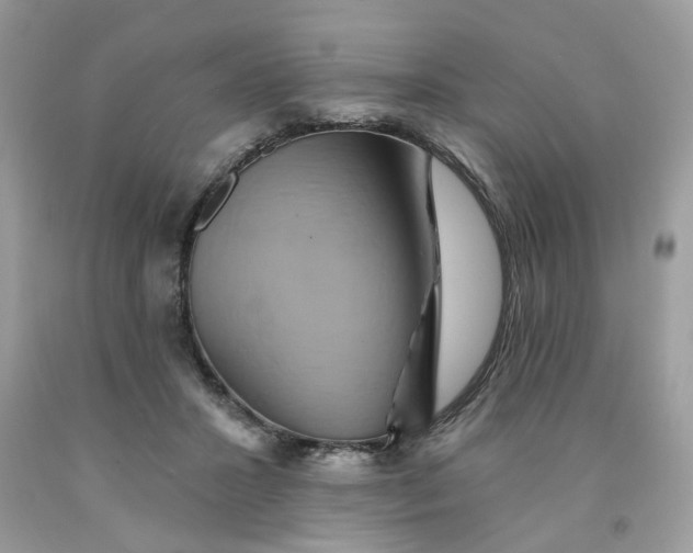 X0000091590407200709101044