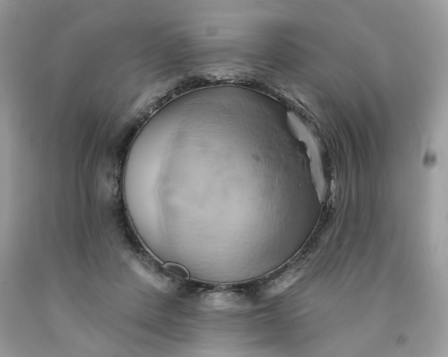 X0000091590408200709101044