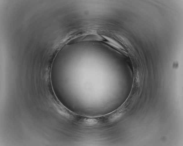 X0000091590409200709101044