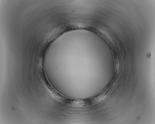 X0000091590410200709101044