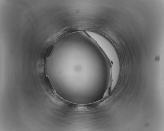 X0000091590413200709101044