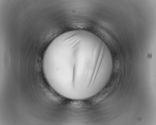 X0000091590414200709101044