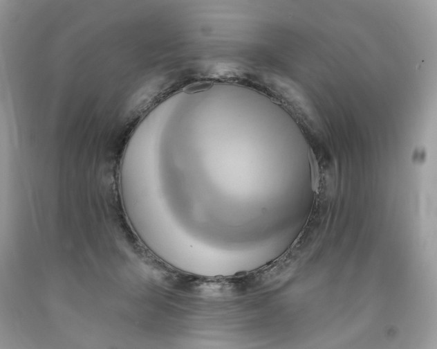 X0000091590415200709101044