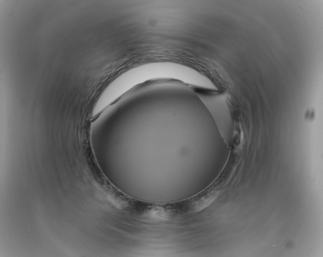 X0000091590416200709101044