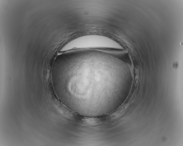 X0000091590417200709101044