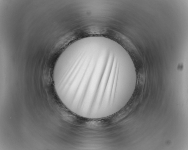 X0000091590422200709101044