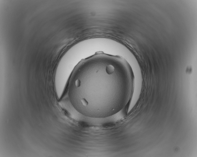 X0000091590423200709101044