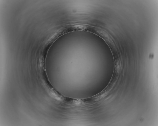 X0000091590424200709101044