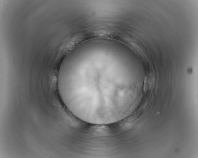 X0000091590427200709101044