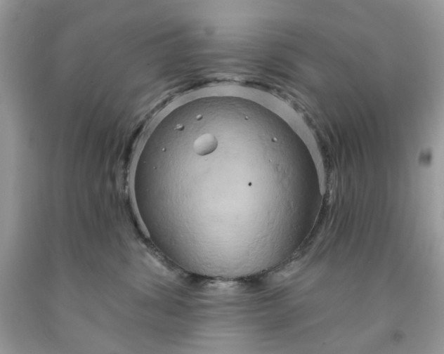 X0000091590428200709101044