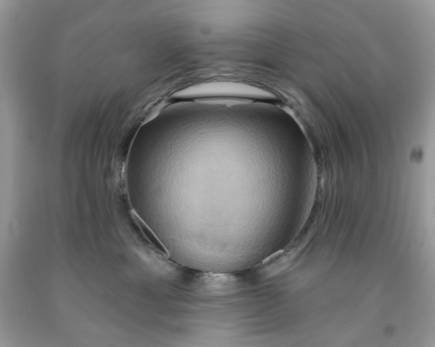 X0000091590429200709101044