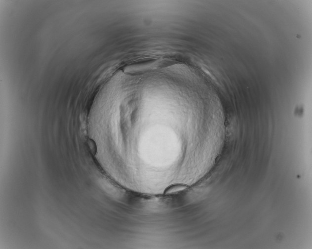 X0000091590430200709101044