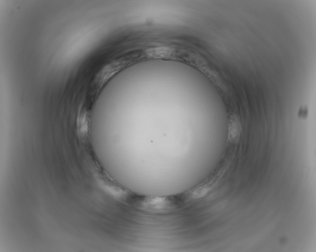 X0000091590431200709101044